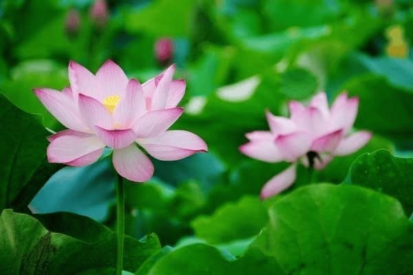 ai里如何设置页面大小，ai怎么设置页面大小
