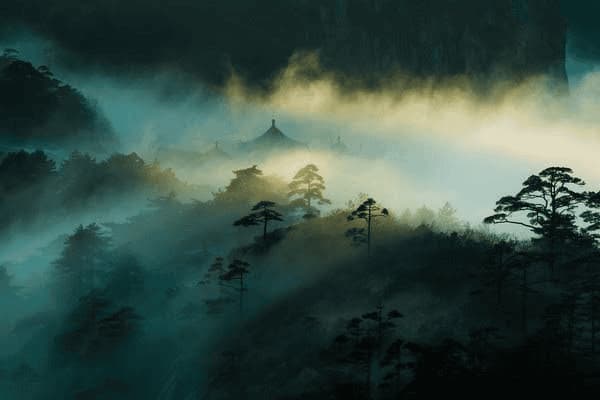 海贼王ai绘画真人化，海贼王画人物